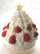 kerstcake 19 lijst